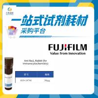 Wako兔源Iba1抗体019-19741