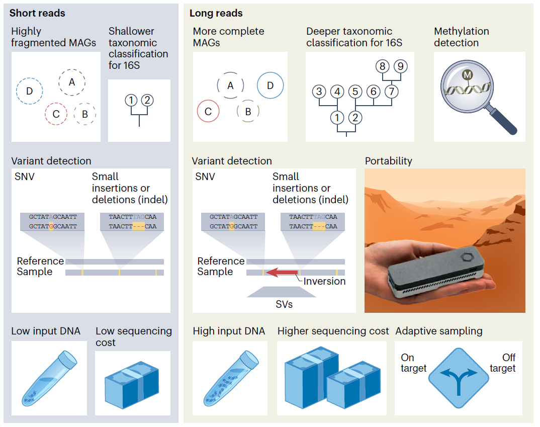 探索微生物新视角：高深度长读长测序技术