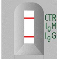 恙虫病斑疹伤寒抗体快速检测试剂 