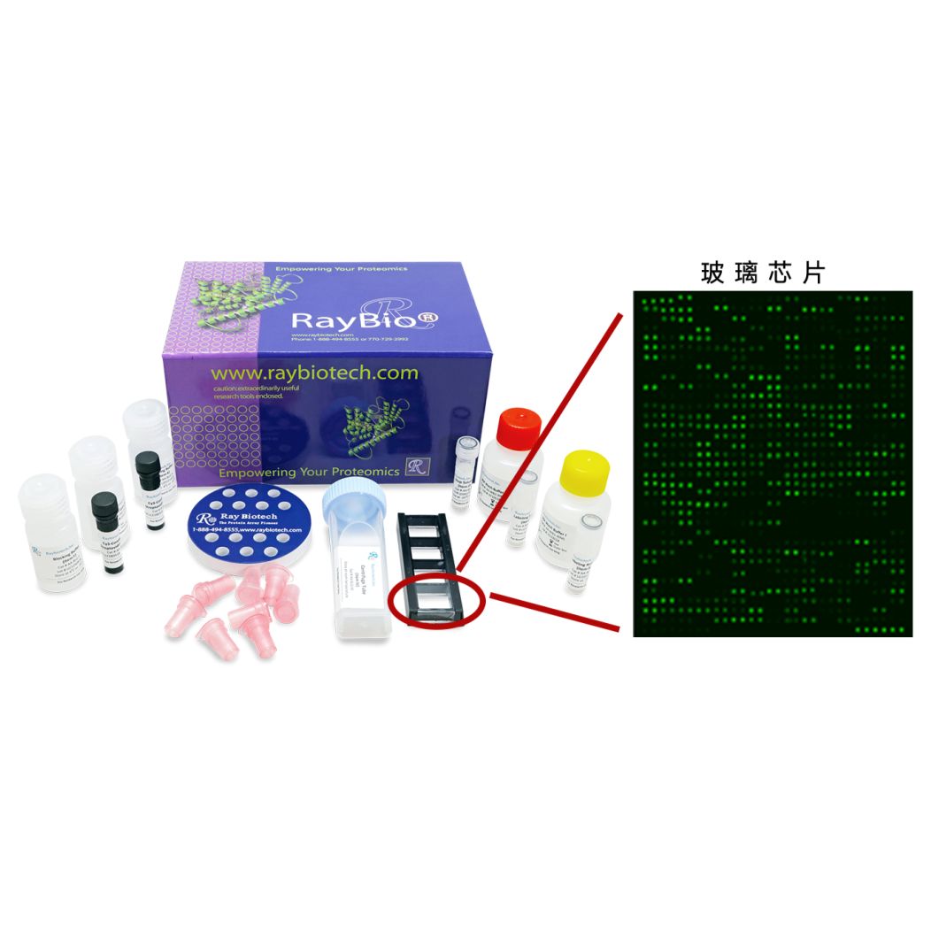 精准蛋白质组学检测服务