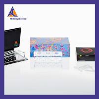 美天旎 130-091-052 QuadroMACS 15 ml Tube Rack