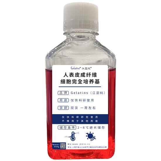人表皮成纤维细胞完全培养基