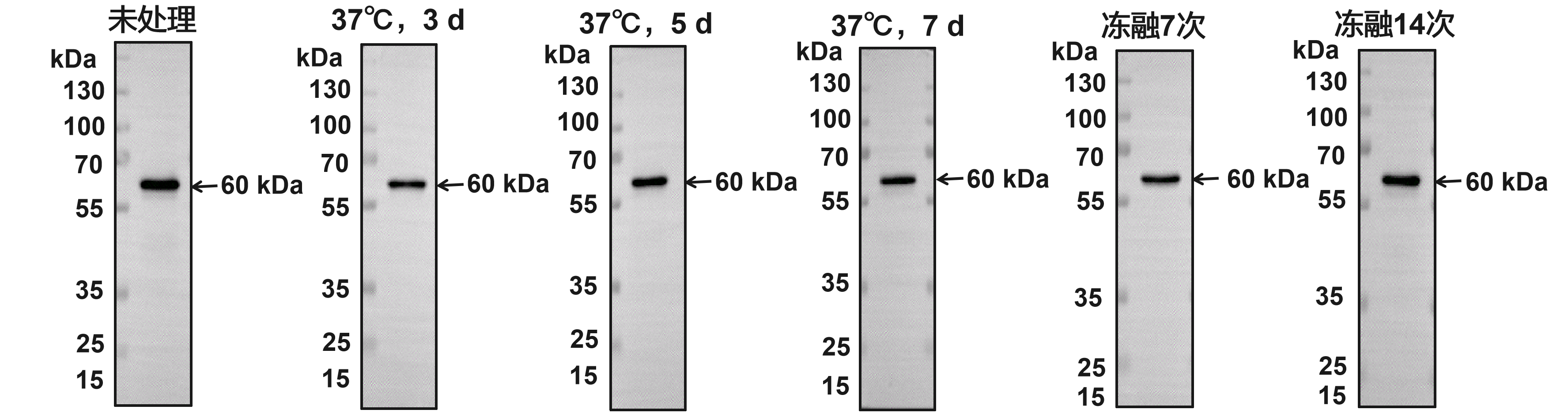 南京诺唯赞生物科技股份有限公司