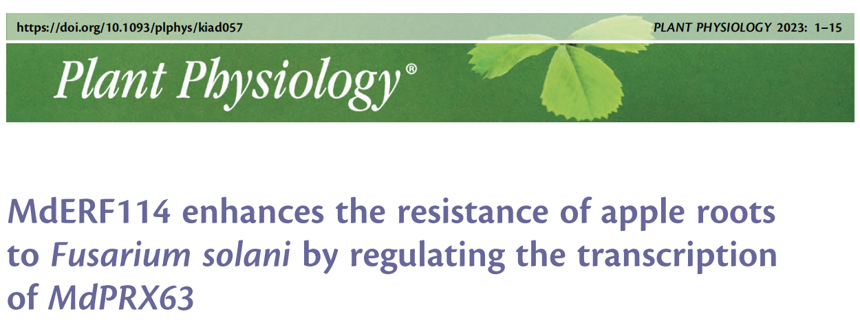 干货| 一文读懂并区分双荧光素酶实验(DLR)、双分子荧光互补(BiFC)、荧火素酶互补实验( LCA)