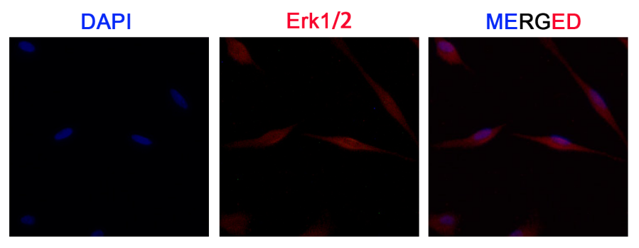 南京诺唯赞生物科技股份有限公司