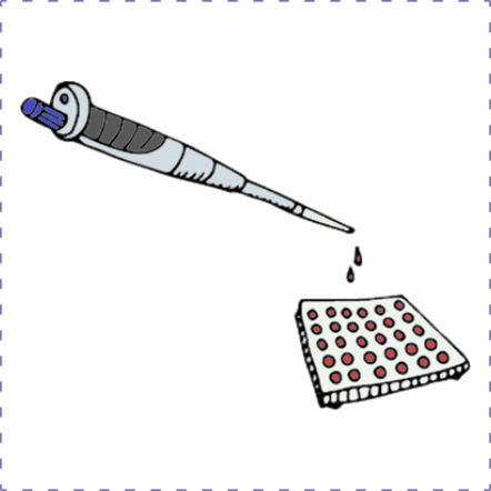 转染效率优于Lipofectamin® 3000的FuGENE® 4K现货特价！