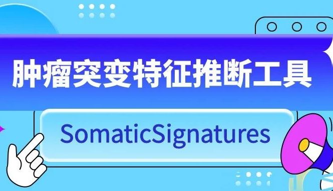 肿瘤突变特征推断工具SomaticSignatures