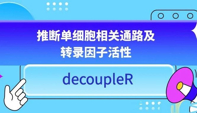 decoupleR推断单细胞相关通路及转录因子活性（内含代码）