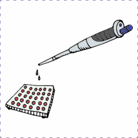 转染效率优于Lipofectamin® 3000的FuGENE® 4K现货特价！