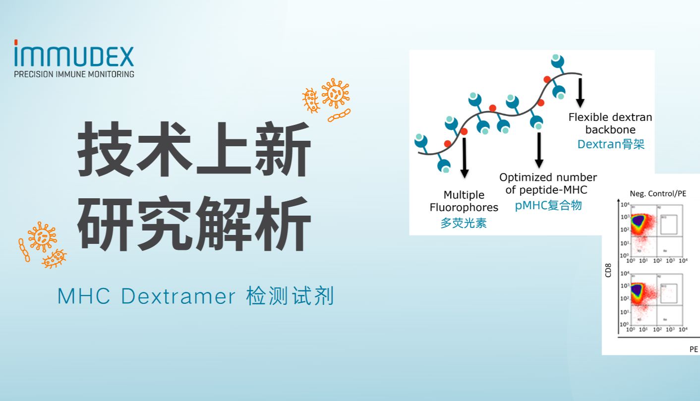 技术上新！MHC Dextramer有效提升低亲和力免疫细胞检测灵敏度