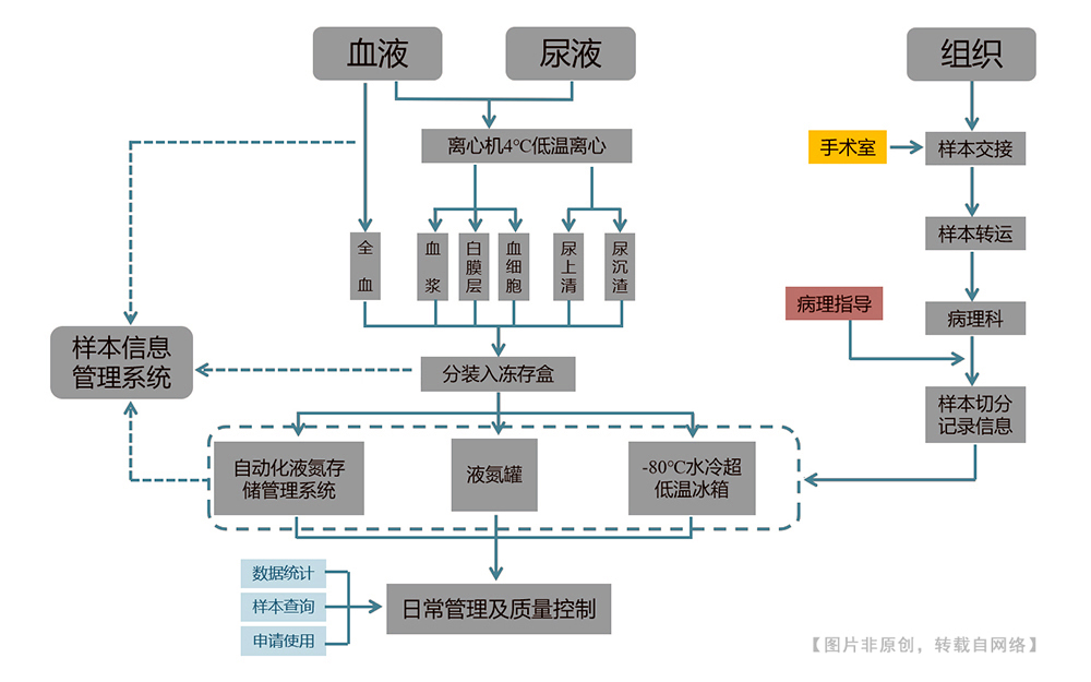 全自动血液分装处理工作站3