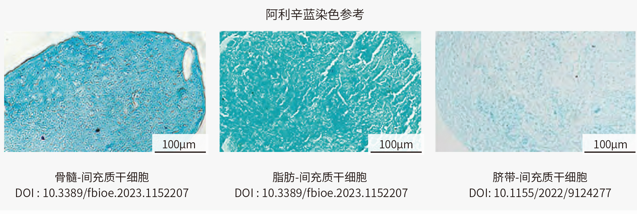 间充质干细胞（MSC）的三系分化及其培养Protocol