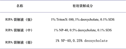 RIPA裂解液介绍与如何选择