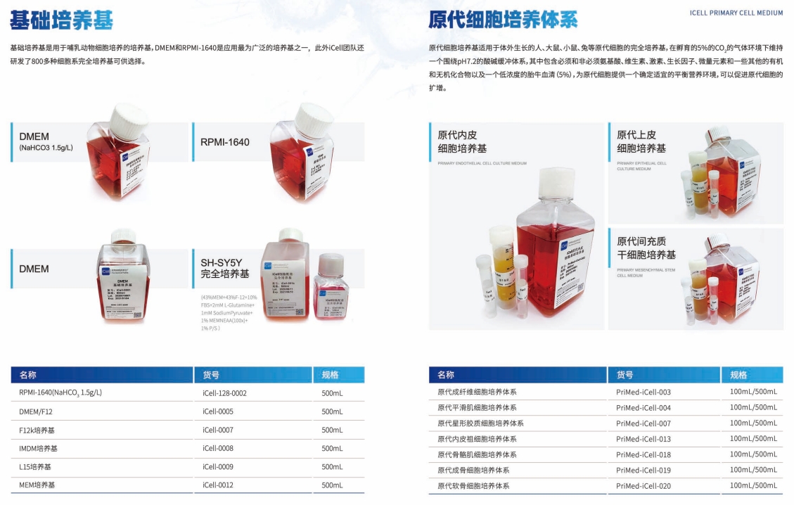HET-1A 人食管上皮细胞、HET-1A细胞、HET-1A