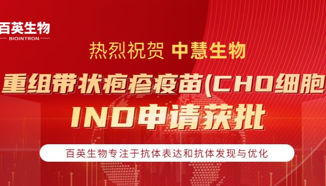 祝贺 | 百英生物CHOK1BN平台助力中慧生物重组带状疱疹疫苗（CHO细胞）IND申请获批！