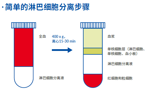 淋巴细胞分离液(LSM)