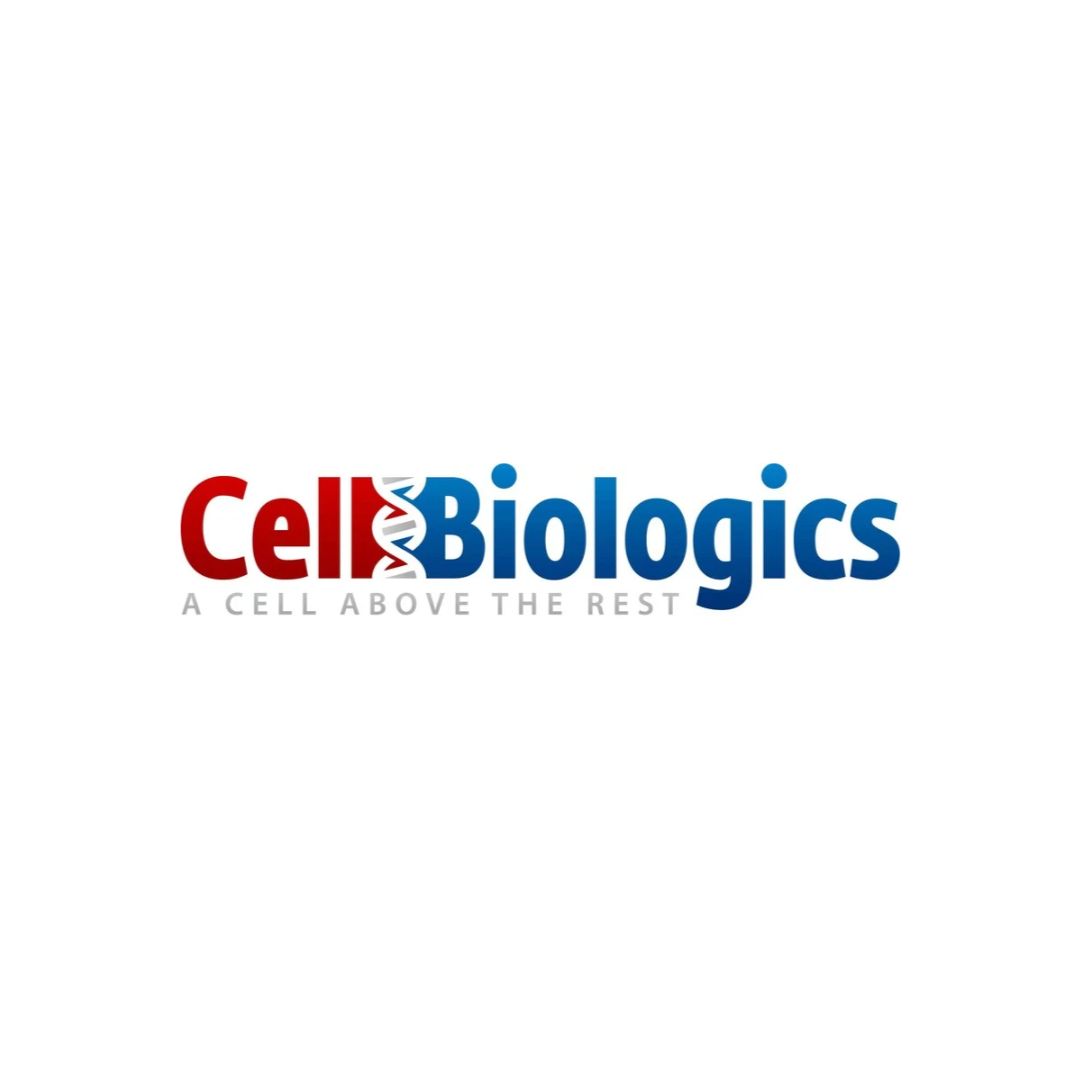 Cell Biologics内皮Transwell通透性测定试剂盒 Endothelial Transwell Permeability Assay Kit