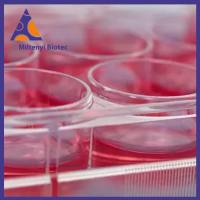 美天旎 Miltenyi 130-111-163 Vectofusin-1