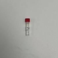 胰蛋白酶/重组胰蛋白酶/trypsin/recombinant trypsin