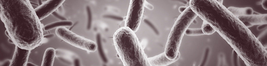 【Biorbyt 科研专题】细菌的外膜蛋白