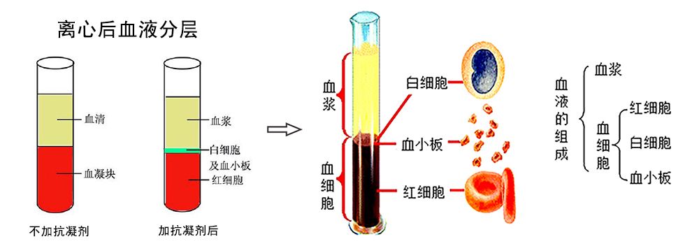 全自动血液分装处理工作站2