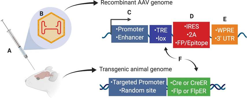 老套路新玩法，关于Cre鲜为人知的一面
