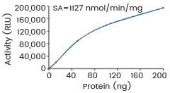 AKT激酶研究进展
