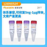 石蜡包埋DNA样本修复试剂(FFPE DNA Repair Reagent)