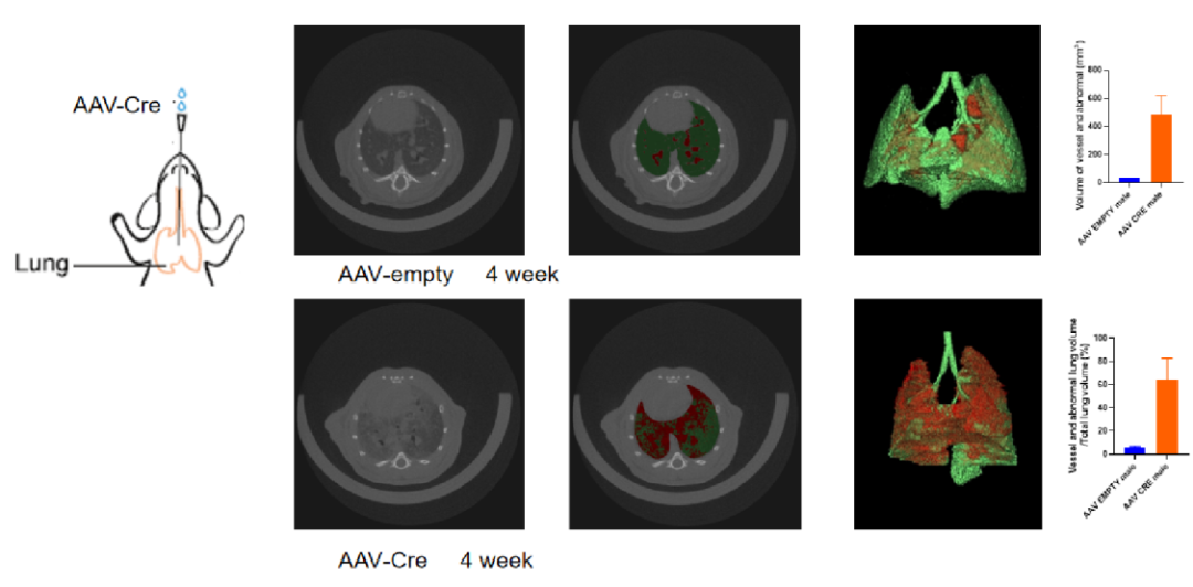 老套路新玩法，关于Cre鲜为人知的一面