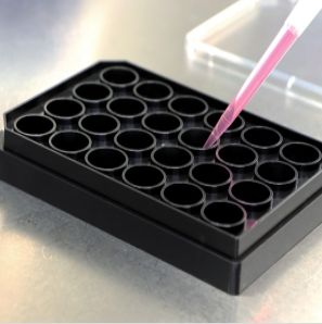 德国ibidi µ-Plate 24孔培养板，玻璃底 -