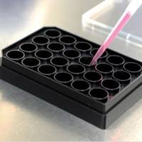 德国ibidi µ-Plate 24孔培养板，玻璃底 -