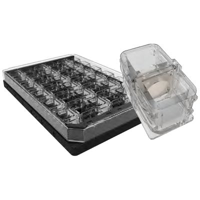 Cerillo微生物共培养系统