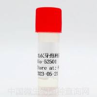 副地衣芽孢杆菌	 