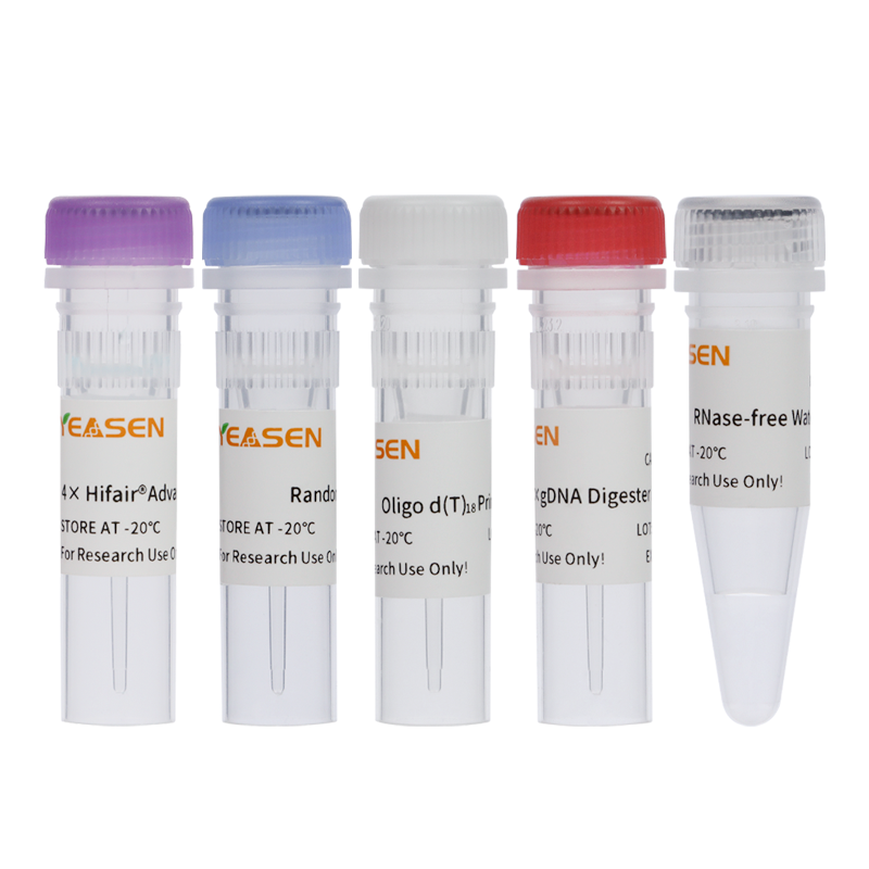 快速逆转录试剂盒(一链cDNA合成试剂盒) Hifair®