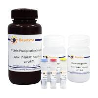 蛋白质半胱氨酸检测试剂盒(DTNB法)