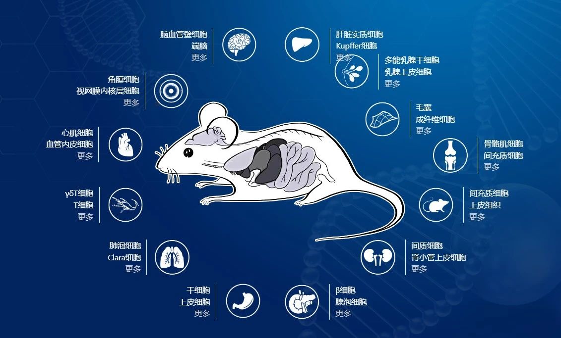 老套路新玩法，关于Cre鲜为人知的一面