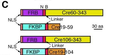 老套路新玩法，关于Cre鲜为人知的一面