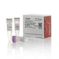 MEM 非必需氨基酸溶液 (100X)，Gibco11140050