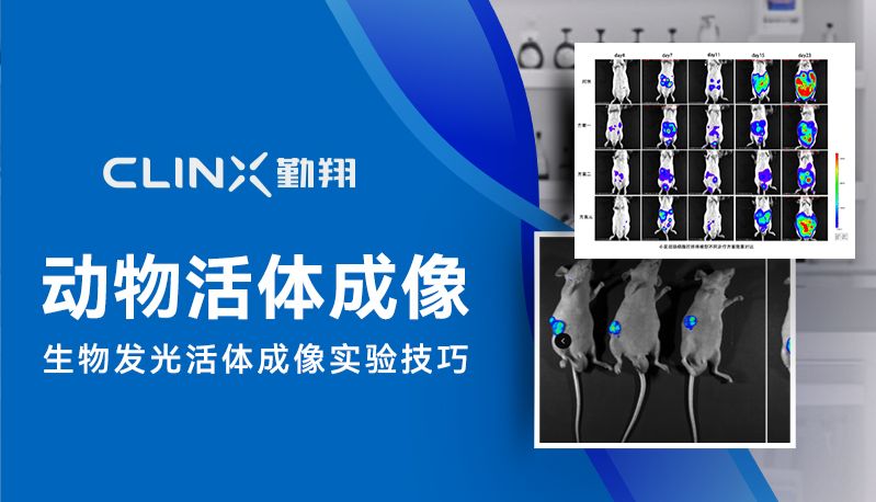 动物活体成像 - 生物发光活体成像实验技巧