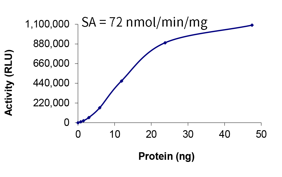AKT激酶研究进展