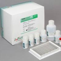 日本乙脑病毒IgG/IgM抗体检测试剂盒