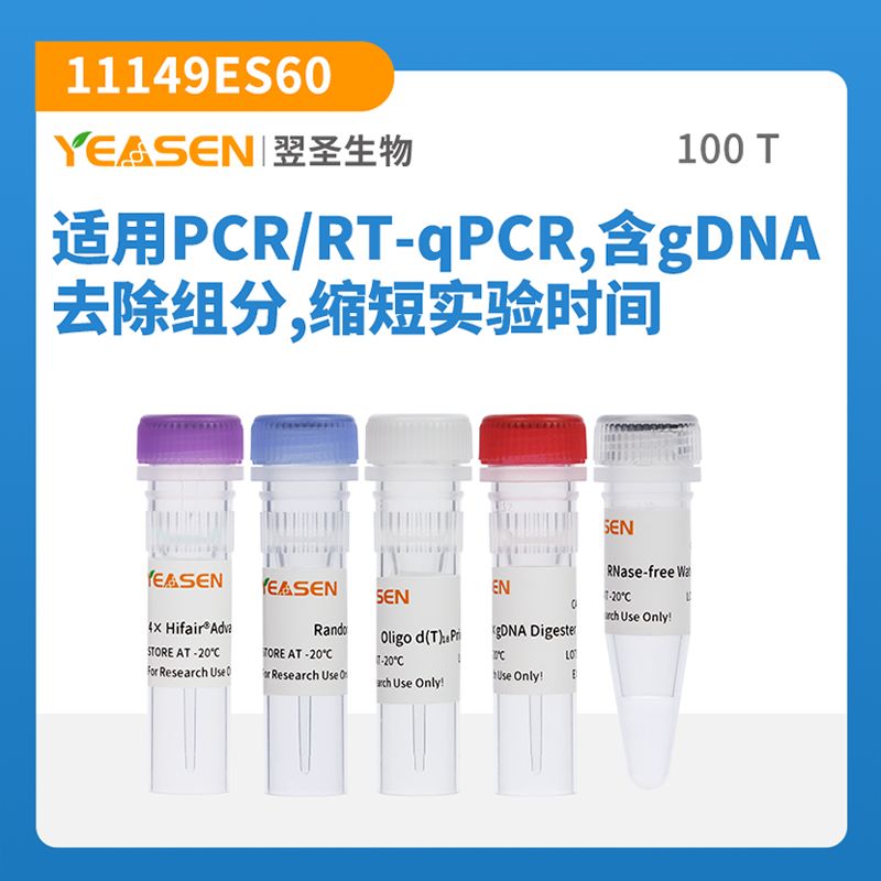 快速逆转录试剂盒(一链cDNA合成试剂盒) Hifair® AdvanceFast 1st Strand cDNA Synthesis Kit
