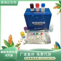 小鼠髓过氧化物酶特异性抗中性粒细胞胞质抗体IgG（MPO-ANCAIgG）检测试剂盒