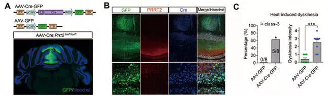 老套路新玩法，关于Cre鲜为人知的一面