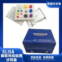 小鼠β葡萄糖醛酸苷酶（βGD）ELISA检测试剂盒