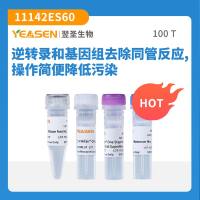 逆转录预混液(含gDNA污染去除) Hifair® V one-step RT-gDNA digestion SuperMix for qPCR