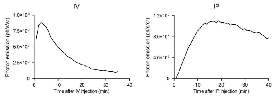 动物活体成像 - 生物发光活体成像实验技巧