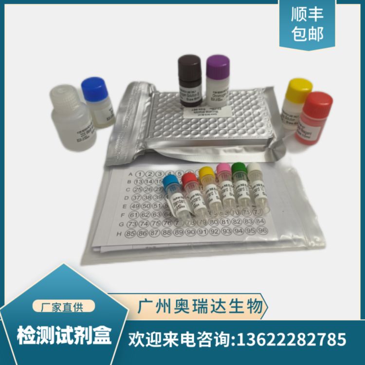 人尿苷二磷酸葡萄糖神经酰胺葡萄糖基转移酶（UGCG）检测试剂盒