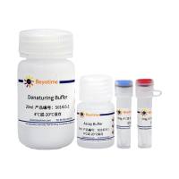 总巯基检测试剂盒(DTNB法)