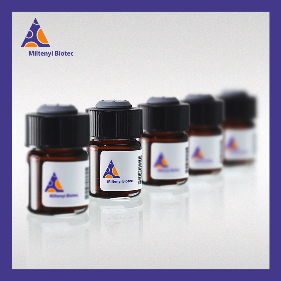 美天旎 130-048-602 Anti-Rabbit IgG(H+L)-Microbeads, 1 ml